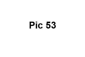 Sylvania Child and Family Photographer